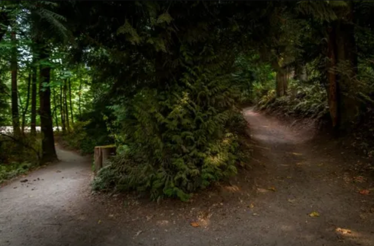 South Ridge Trail